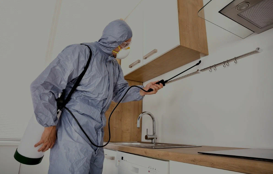 La Verne pest managment